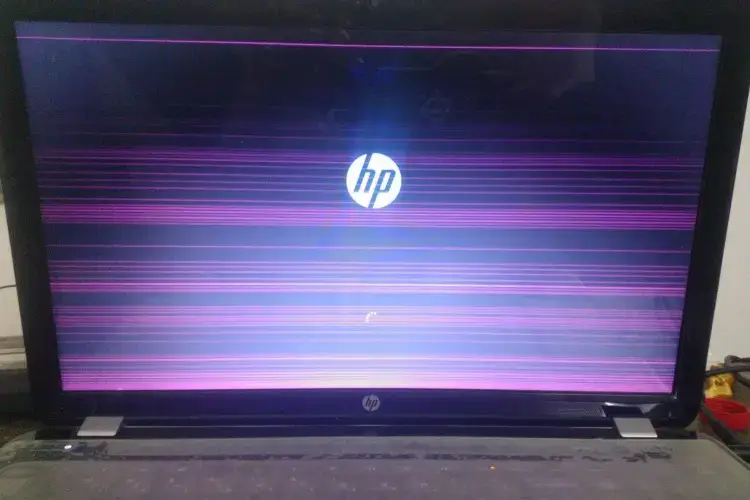 HP laptop with pink and purple horizontal lines on the screen, indicating display failure or internal damage.